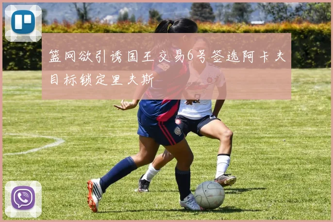 篮网欲引诱国王交易6号签选阿卡夫目标锁定里夫斯