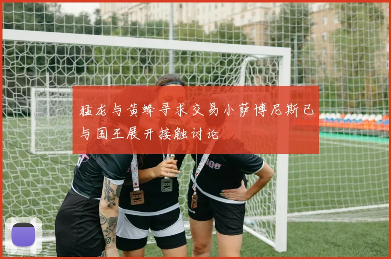 猛龙与黄蜂寻求交易小萨博尼斯已与国王展开接触讨论