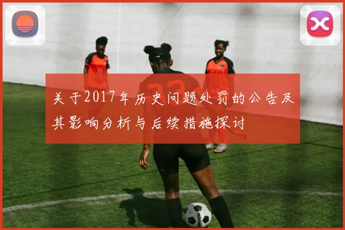 关于2017年历史问题处罚的公告及其影响分析与后续措施探讨